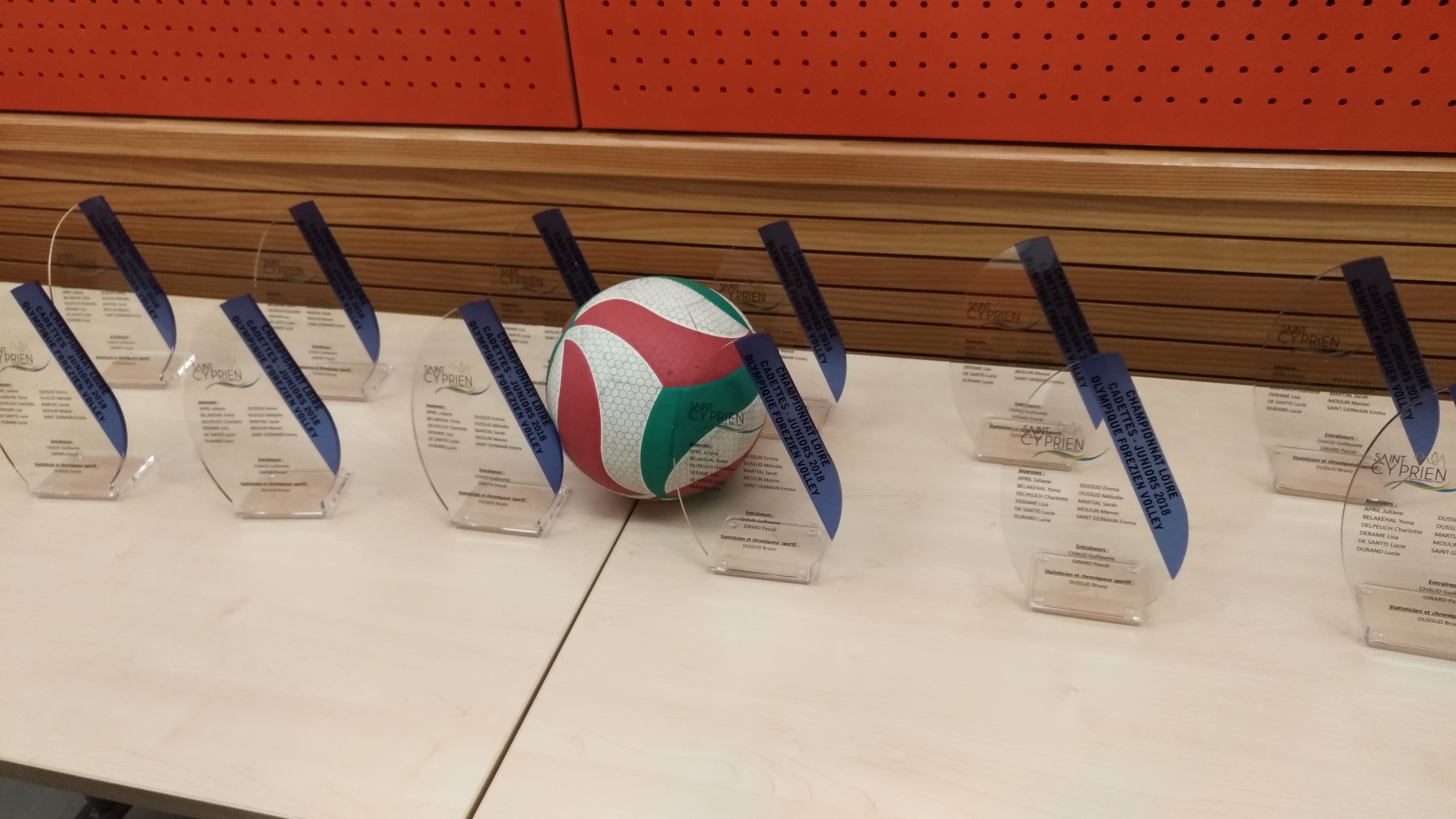 trophées volley (9)