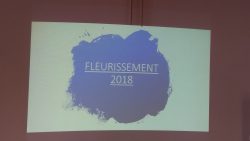 fleurissement (31)