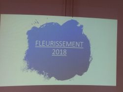 fleurissement (31)