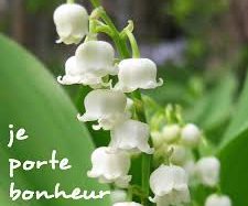 muguet 2