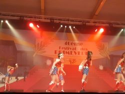 GALA DANSE 40EME (21)