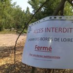 sentier bords de loire