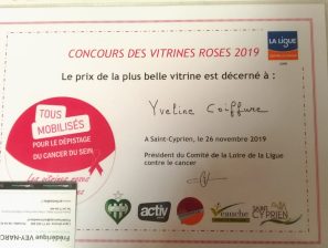 Octobre Rose : soirée de remise des prix à Saint-Cyprien