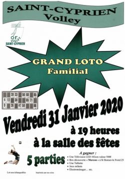 loto volley