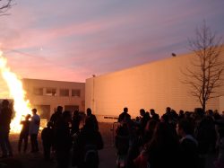 Carnaval (12)