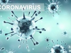 coronavirus