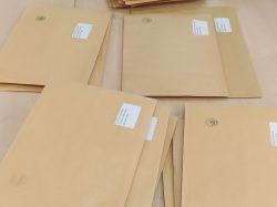 DISTRIBUTION MASQUES (7)