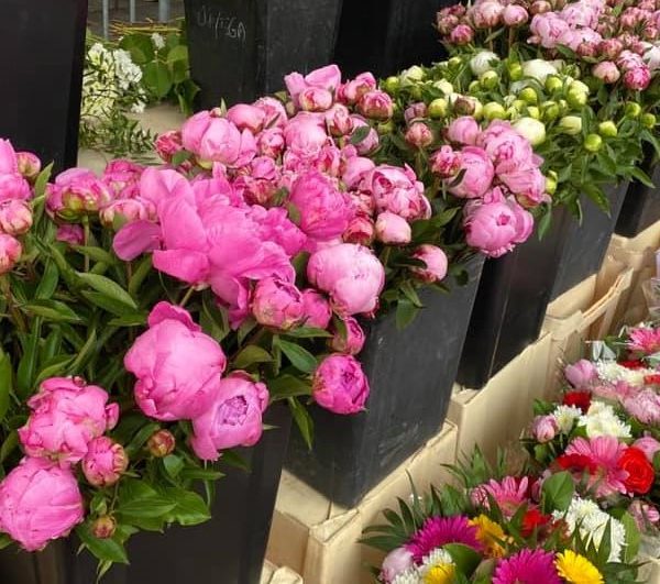 fleuriste du marché