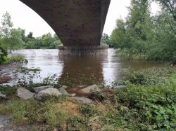 loire fleuve (4)