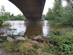 loire fleuve (4)