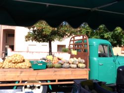 marché (9)