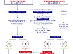 isolement_test_-_que_faire_infographie_decisionnelle