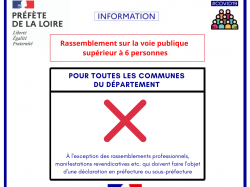 covid 23 octobre (8)