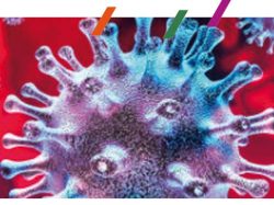 virus