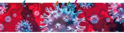 virus