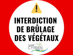 PEUT-ON BRÛLER DES DÉCHETS VERTS DANS SON JARDIN ?