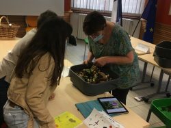 cme compost (3)