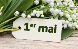 muguet