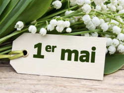 muguet