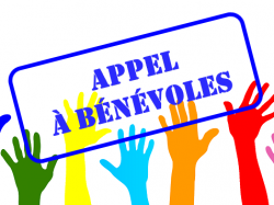 saopauloaccueil.org.br_appel-a-benevoles