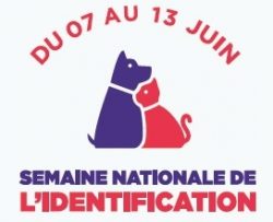 Image à la Une - I-CAD