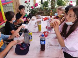 Sortie CME (2)
