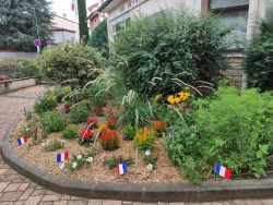 14 juillet (10)