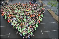 Photo du coeur