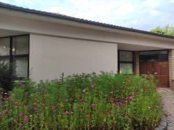 Mairie fleurie (4)