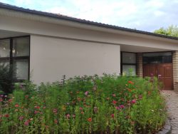 Mairie fleurie (4)