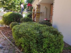 extension Mairie (5)