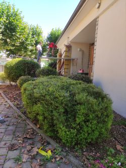 extension Mairie (5)