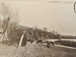 ST CYPRIEN – Les Balmes (2)
