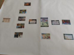 IMG-20220205-WA0004