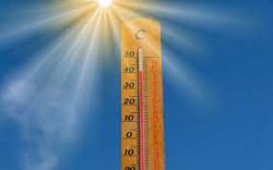 image canicule