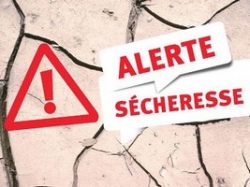 COMMUNICATION DE LA PREFECTURE : SECHERESSE