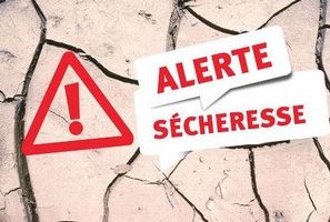 COMMUNICATION DE LA PREFECTURE : SECHERESSE