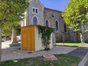 Abattage arbres parvis de l’église