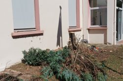 MAIRIE TOTEM