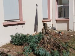MAIRIE TOTEM