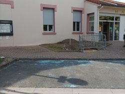 TOTEM avant (5)
