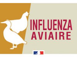 PREFECTURE : // Influenza aviaire hautement pathogène \\ Elévation du niveau de risque à modéré