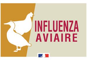 PREFECTURE : // Influenza aviaire hautement pathogène \\ Elévation du niveau de risque à modéré