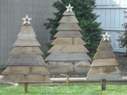 sapins