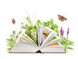 IMAGE PRINTEMPS LIVRE
