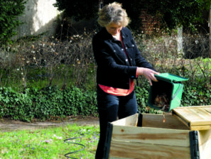 Adoptez un composteur de jardin : séances d’information