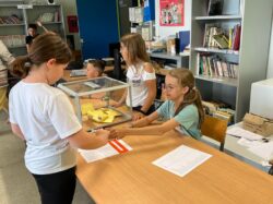 cme élection (5)