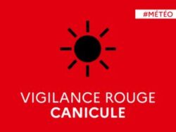 Vigilance-rouge-330×220
