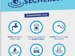 sécheresse