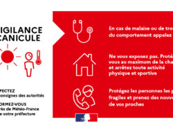 vigilance rouge canicule (3)